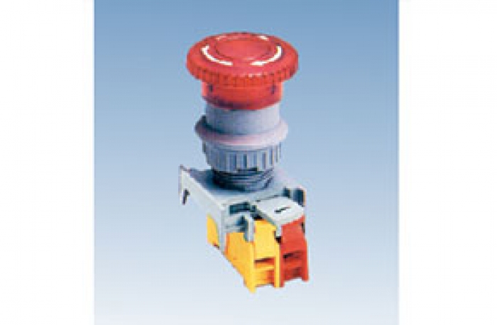 ILLUMINATED LATCHING HEAD Ïˆ40mm PUSH BUTTON