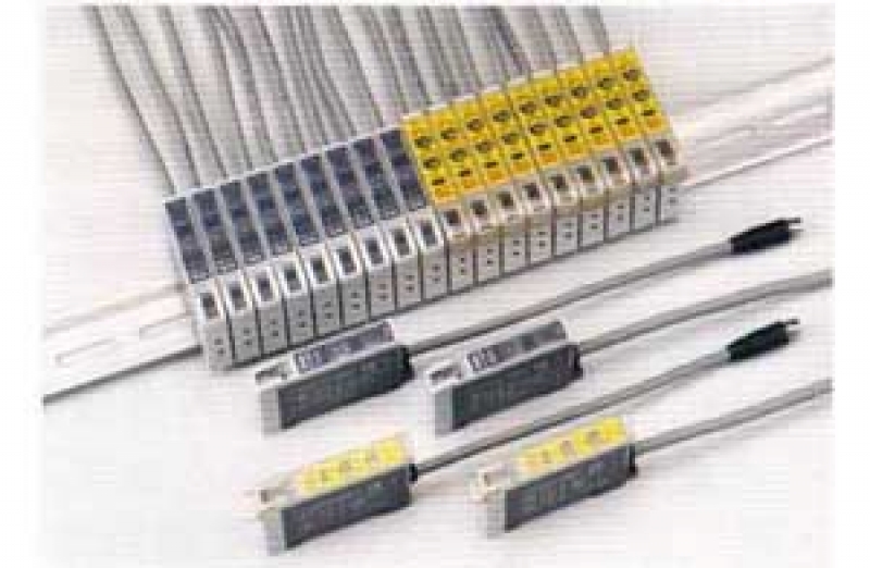 Fiber type
