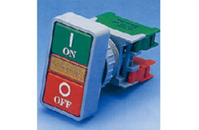 DPB-30 DOUBLE PUSH BUTTON WITH 1A1B CONTACT BLOCK